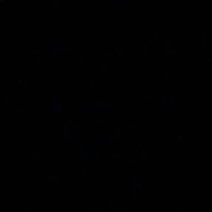 Meet your Posher, Bj